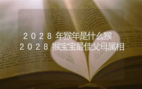 2028 生肖|2028年是什么年？2028年属什么生肖